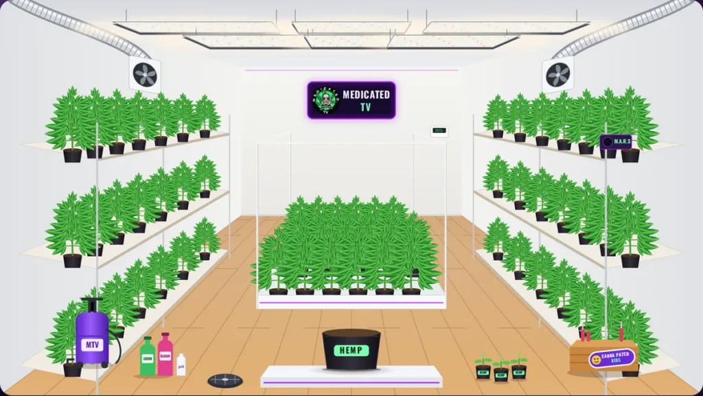 The MEDICATED TV Hemp Tent grow room